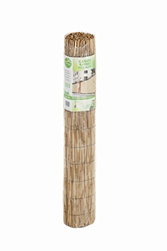 CAÑIZO Bambu PELADO