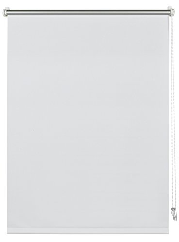 Deco Company Gardinia 23 - 1038 - Estor térmico, plástico, Blanco, 150 x 100 x 5 cm