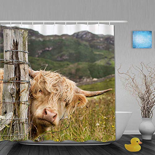 Highland - Cortina de ducha para decoración del hogar, cortina de baño escocesa Highlander en Escocia, juego de 12 ganchos, tela de poliéster, 72 x 72, marrón claro, verde