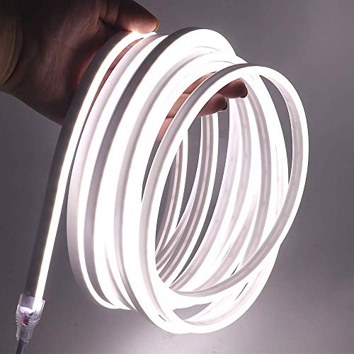 XUNATA 12V Flexible Neon Blanco frio, 5m Impermeable 2835 Tira de LED Strip Light, Luz de la Cuerda para Exterior Fiestas Decoración Party Sign Publicidad Firmar