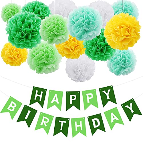 YGCHEN Pompones de Papel de Seda Flor de Papel Decoración de Cumpleaños Banner Happy Birthday Verde Pompom para Cumpleaños Bodas Eventos Bebé Ducha Carnaval