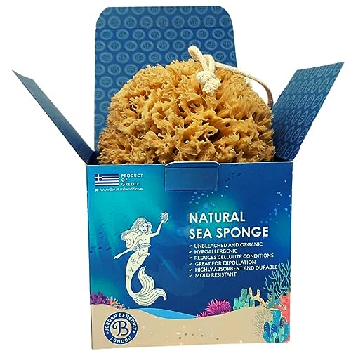 Jordan Benedict Natural Sea Sponge - Esponja de mar natural para baño y ducha apta para adultos, niños y bebés