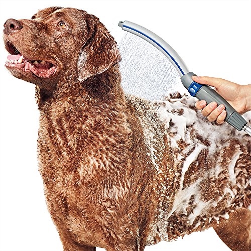 Waterpik PPR-252 Accesorio rociador de Ducha, Limpieza rápida y fácil del Perro en casa, Azul/Gris, 2.5 GPM
